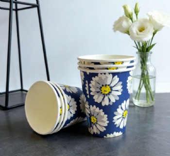 Single Wall Custom Printed Biodegradable Paper Cup Take Away Disposable Personalized Paper Coffee Cups