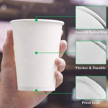 Paper Cups Single Wall PE Coated Disposable